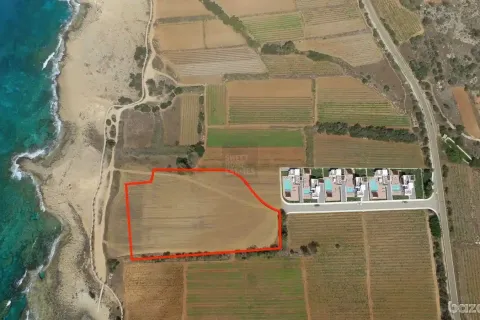 14172m² Land à Ayia Napa, Cyprus No. 35386 3