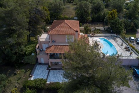 6 bedrooms Villa in Chalkidiki, Greece No. 50053 4