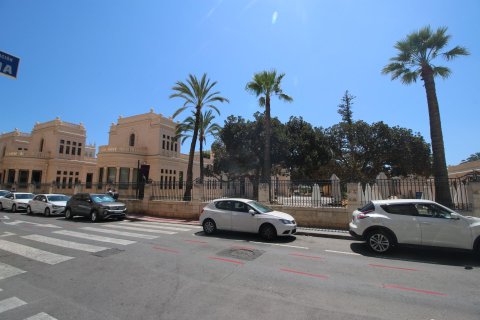 24 dormitorios Commercial property en Alicante, Spain No. 26591 2