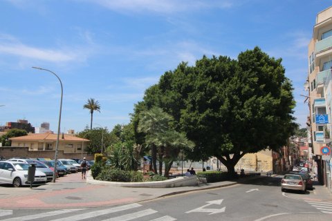 24 dormitorios Commercial property en Alicante, Spain No. 26591 19