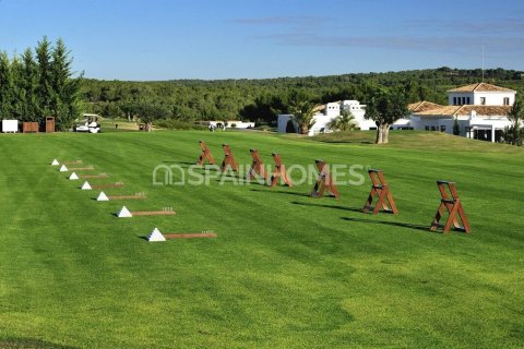 4 chambres Villa à San Miguel de Salinas, Spain No. 26561 24