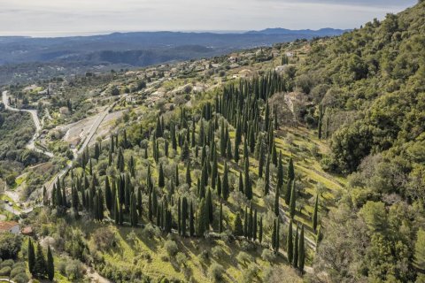 5 bedrooms Villa in Tourrettes-sur-Loup, France No. 67250 8