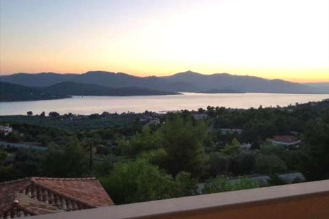 3 bedrooms Villa in Malesina, Greece No. 57304 1