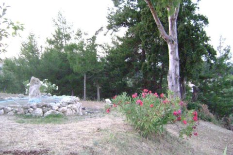 Land in Zakynthos, Greece No. 28084 20