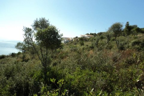 Land in Thesprotia, Greece No. 28088 6