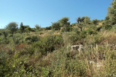 Land in Thesprotia, Greece No. 28088 7