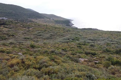 Land in Zakynthos, Greece No. 28087 10