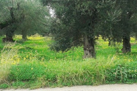 Land in Zakynthos, Greece No. 28085 4