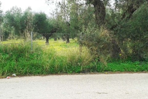 Land in Zakynthos, Greece No. 28085 2