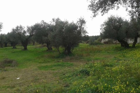 Land in Zakynthos, Greece No. 28085 7