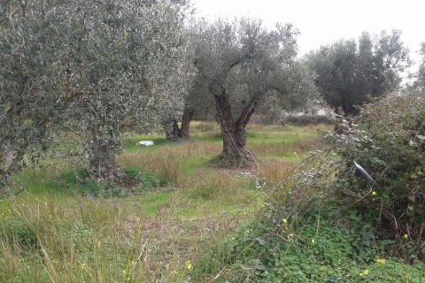 Land in Zakynthos, Greece No. 28085 8