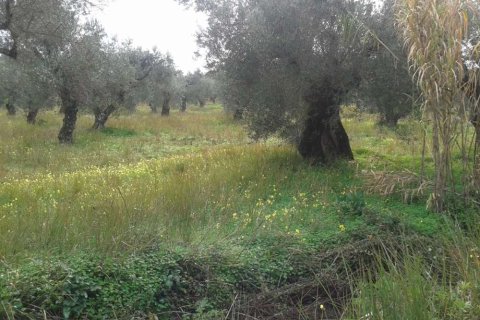 Land in Zakynthos, Greece No. 28085 6