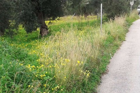 Land in Zakynthos, Greece No. 28085 1