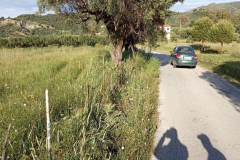 Land in Zakynthos, Greece No. 28122 21