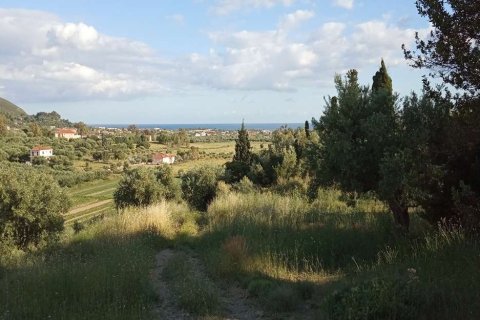 Land in Zakynthos, Greece No. 28122 3