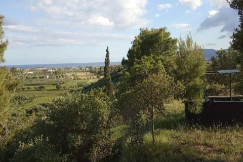 Land in Zakynthos, Greece No. 28122 17