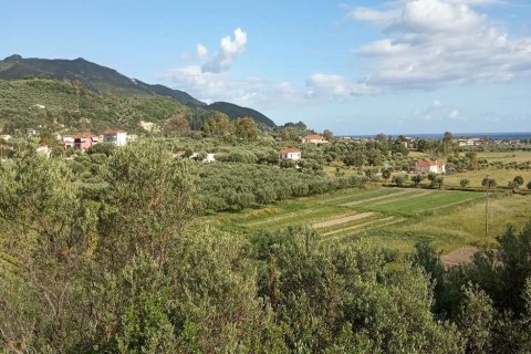 Land in Zakynthos, Greece No. 28122 20