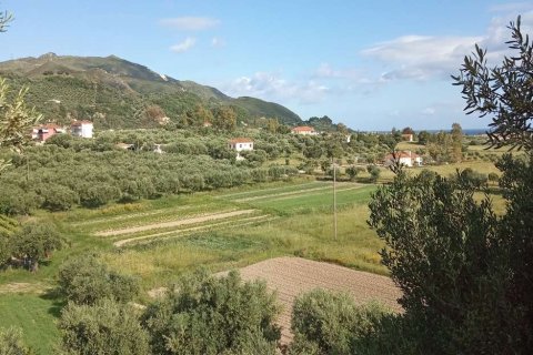 Land in Zakynthos, Greece No. 28122 11