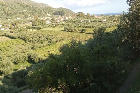 Land in Zakynthos, Greece No. 28122 18