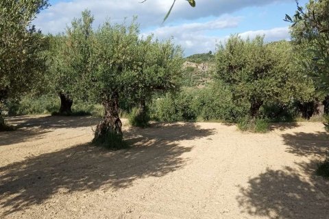 Land in Zakynthos, Greece No. 28122 6