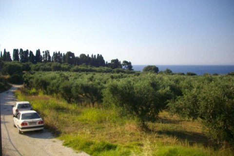 Land à Zakynthos, Greece No. 28121 11