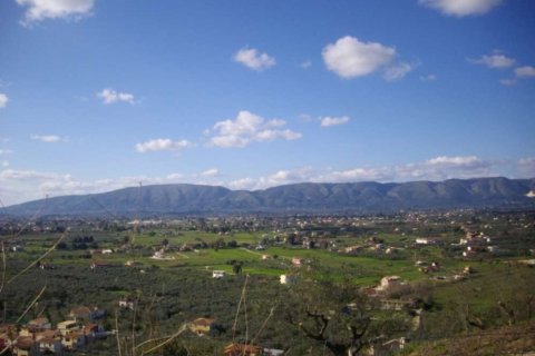 Land in Zakynthos, Greece No. 28121 1