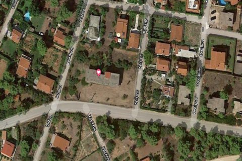 2100m² Land in Skala Oropou, Greece No. 56419 2