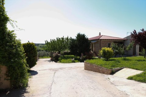 4 bedrooms Villa in Thermaic Gulf, Greece No. 56402 15