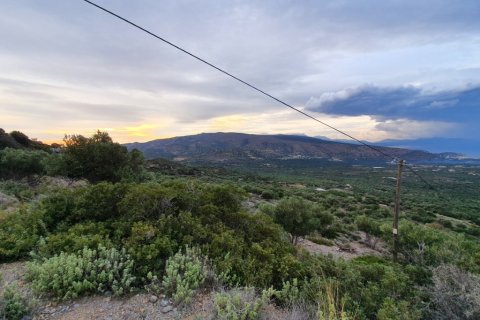 19000m² Land in Ierapetra, Greece No. 56417 2