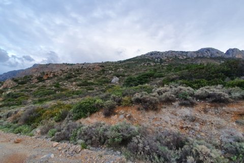 19000m² Land à Ierapetra, Greece No. 56417 4