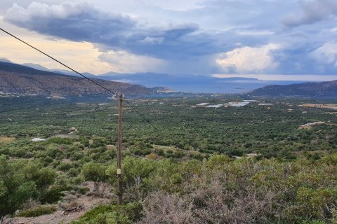 19000m² Land in Ierapetra, Greece No. 56417 1