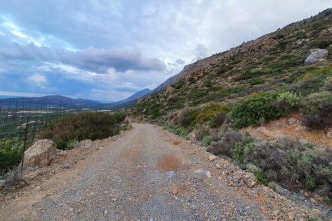 19000m² Land en Ierapetra, Greece No. 56417 5