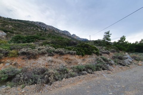 19000m² Land à Ierapetra, Greece No. 56417 3