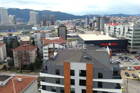 2+1 Apartment en Bursa, Turkey No. 75357 2