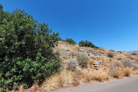 3460m² Land in Agios Nikolaos, Greece No. 56221 3