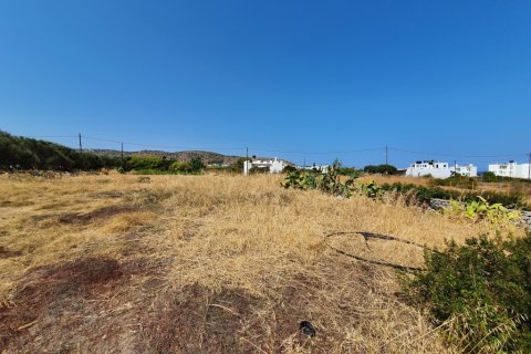 2000m² Land in Neapoli, Greece No. 56227 3