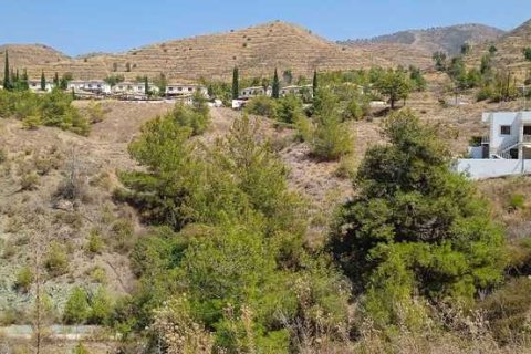 8188m² Land en Argaka, Cyprus No. 42058 7