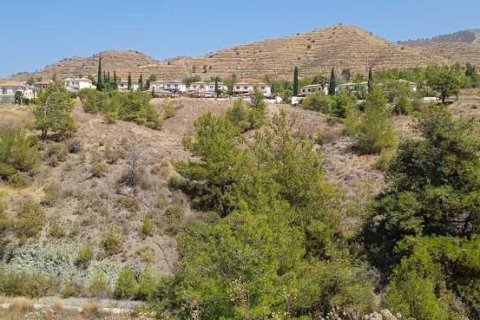 8188m² Land en Argaka, Cyprus No. 42058 8