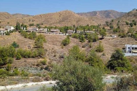 8188m² Land en Argaka, Cyprus No. 42058 9