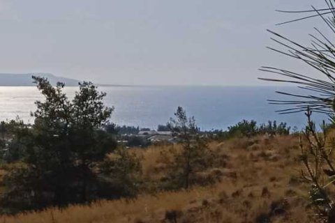 8188m² Land en Argaka, Cyprus No. 42058 10