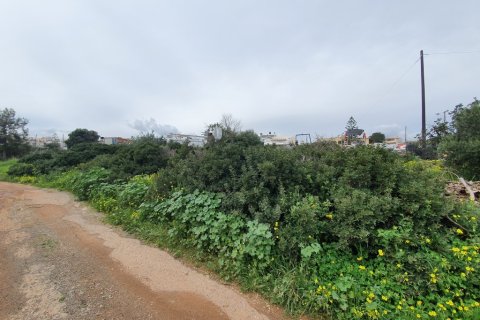 2367m² Land in Agios Nikolaos, Greece No. 56595 4