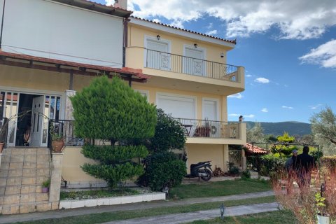 540m² Villa en Oropos, Greece No. 56599 3