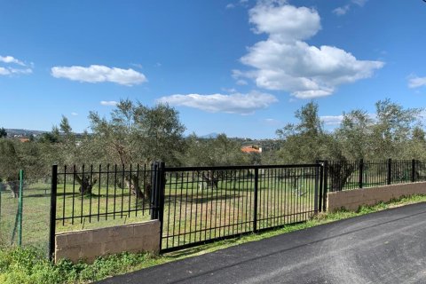 540m² Villa à Oropos, Greece No. 56599 26