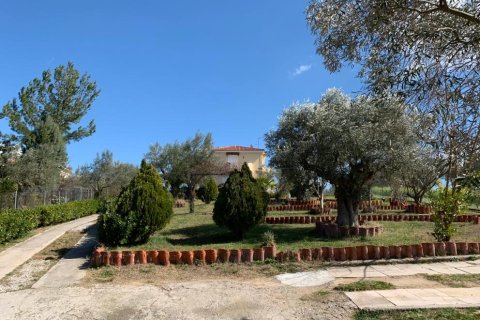 540m² Villa en Oropos, Greece No. 56599 7