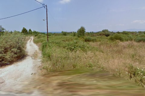 50000m² Land en Chalkidiki, Greece No. 56576 2