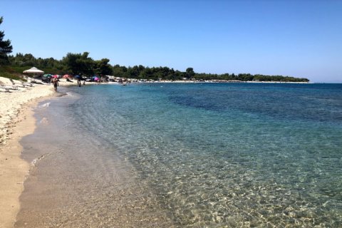 50000m² Land in Chalkidiki, Greece No. 56576 1