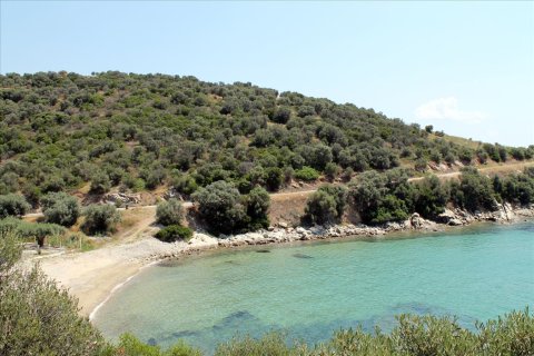 16500m² Land en Chalkidiki, Greece No. 56577 3