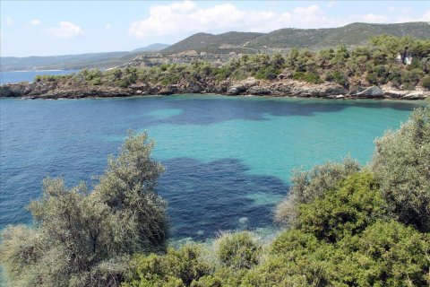 16500m² Land in Chalkidiki, Greece No. 56577 1