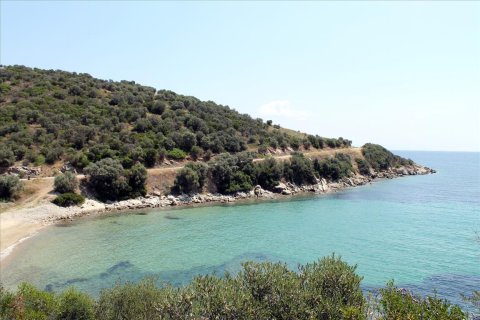 16500m² Land in Chalkidiki, Greece No. 56577 2