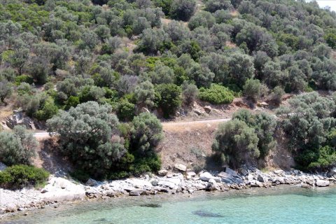 16500m² Land en Chalkidiki, Greece No. 56577 8